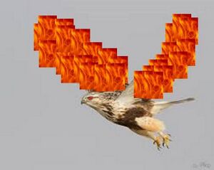 640px-FireHawk.jpg