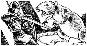 640px-Giant rat B3.jpg