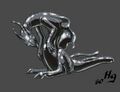 Thumbnail for version as of 20:13, 21 January 2025