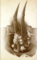 Thumbnail for version as of 20:11, 21 January 2025