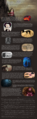Thumbnail for version as of 20:10, 21 January 2025