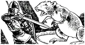 800px-Giant rat B3.jpg