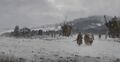 Thumbnail for version as of 20:15, 21 January 2025