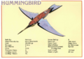 Thumbnail for version as of 20:10, 21 January 2025