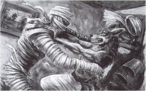 800px-Werejackal CotN Werebeasts 2.jpg