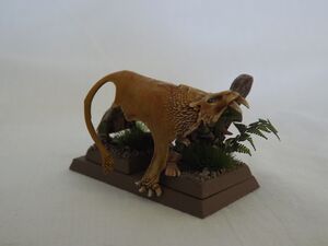 8815390127 6f698fd585 o.jpg