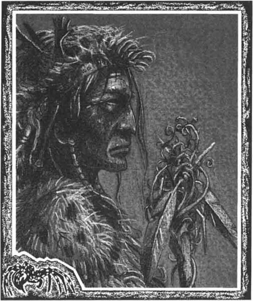 File:Abber shaman The Nightmare Lands.jpg