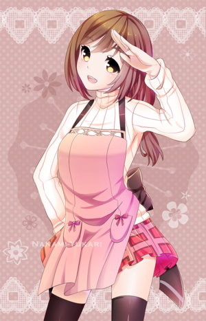 AdEva-Ishihara apron.png