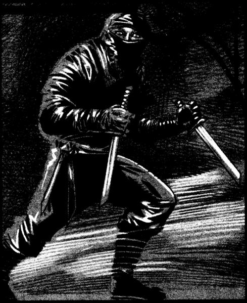 File:Akikage MCR3.png