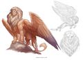 "An Androsphinx bears the head of a humanoid male on its lion's body." Sure it does, 5e.