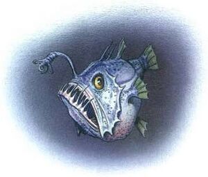 Angler fish MCAV4.jpg
