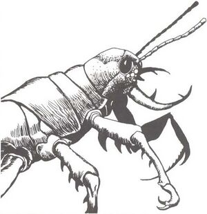 Ankheg MCV2.jpg