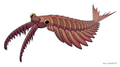 Thumbnail for version as of 20:21, 21 January 2025