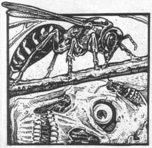Army wasp WD 73.jpg
