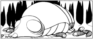 Aspis cow larva A1.png