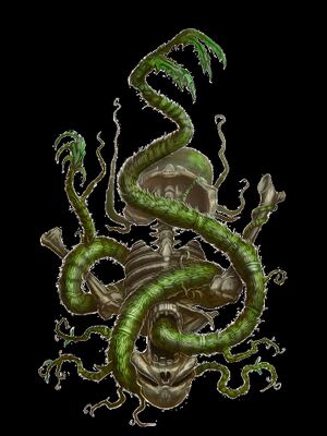 Assassin vine skeleton.jpg