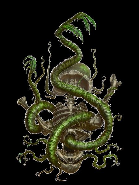 File:Assassin vine skeleton.jpg