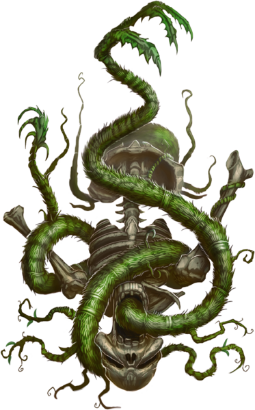 File:Assassin vine skeleton.png