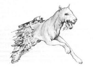 Astral Hound 1st Edition illustration.jpg