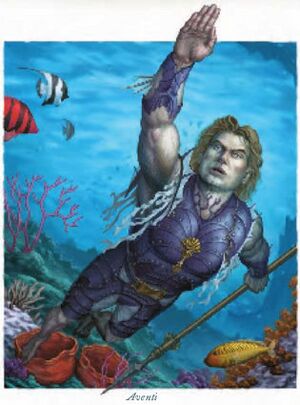 Aventi stormwrack.jpg