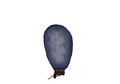 Thumbnail for version as of 20:21, 21 January 2025