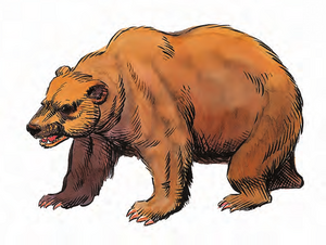 Bear MM 2e.png