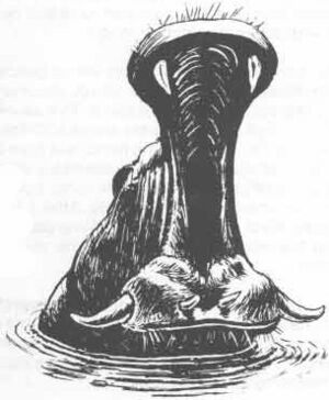 Behemoth MM2 1e.jpg