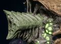 Thumbnail for version as of 20:19, 21 January 2025