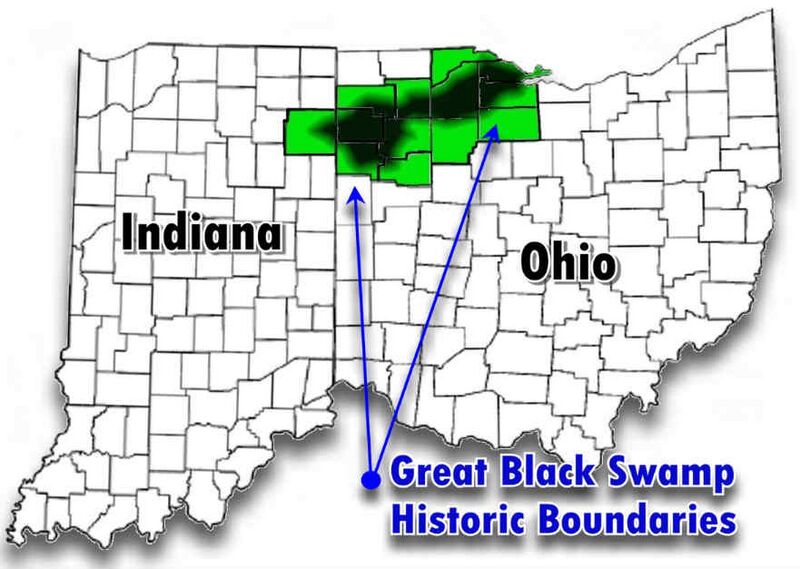 File:Black Swamp.jpg