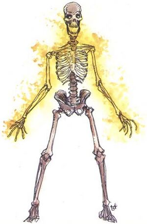 Blazing bones MCAV1.jpg