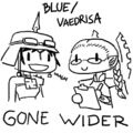 Blue and Farseer Gone Wider