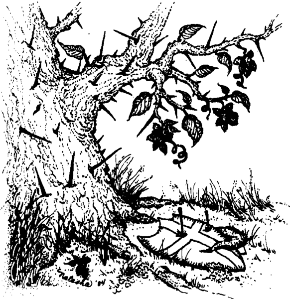 File:Bohun tree.png