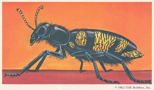 Bombardier beetle monster card.jpg