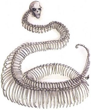 Bone naga MCAV1.jpg