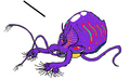 Thumbnail for version as of 20:18, 21 January 2025