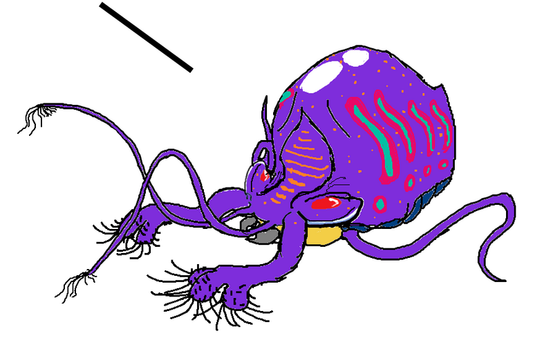File:Boomer Flouz.png