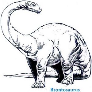 Brontosaurus MC3.jpg