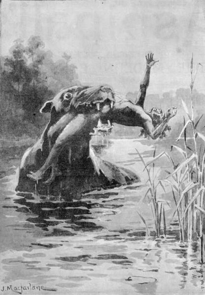 File:Bunyip 1890.jpg