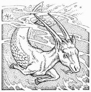 Capricorn WD 22.jpg