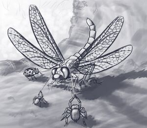 Capturing the dragon.jpg