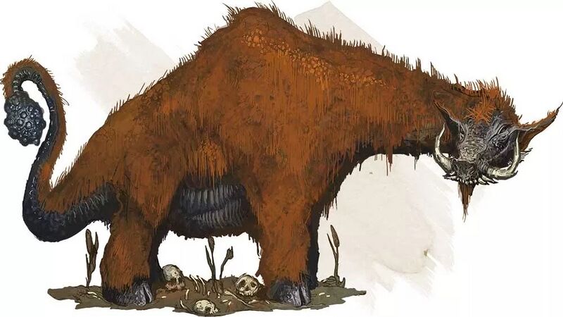 File:Catoblepas 5e.jpg