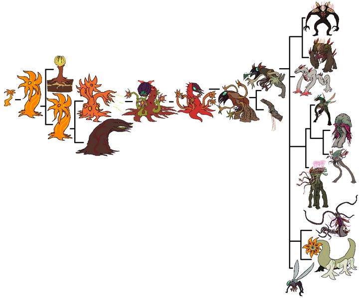 File:Cedyachart.png