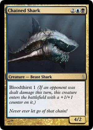 Chained Shark.jpg