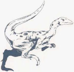 Compsognathus MCAV2.jpg