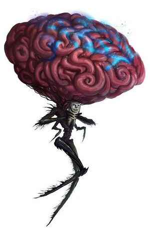 Contemplative dead suns 2.jpg