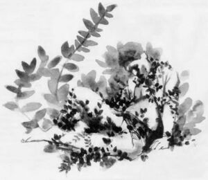 Crawling ivy DoD2.jpg