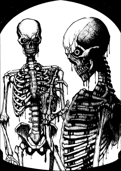 File:Crimson bones Shadow Rift.png