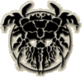 Thumbnail for version as of 20:18, 21 January 2025