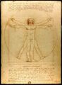 Da Vinci's Vitruvian Man, a possible influence.