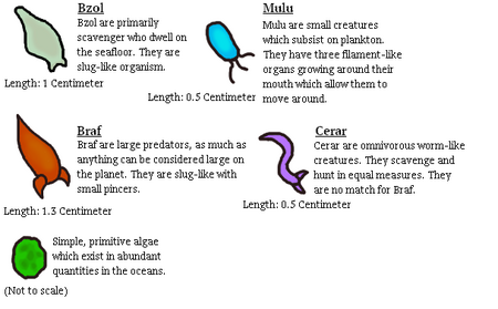 Divergent Evolution Game - 2d4chan